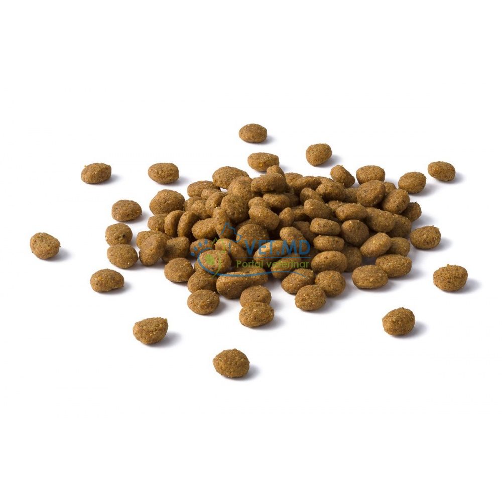 Сухой корм Бархан для кошек с ягненком, 12 кг